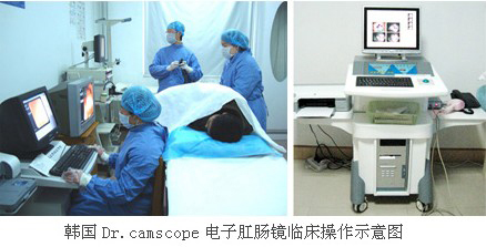 �����ѯ����������