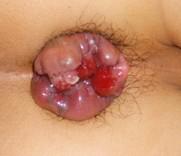 ��ϸ����������ѯ