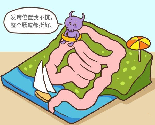 �᳦�׶�����������Щ ���ݶ���س�ҽԺ����